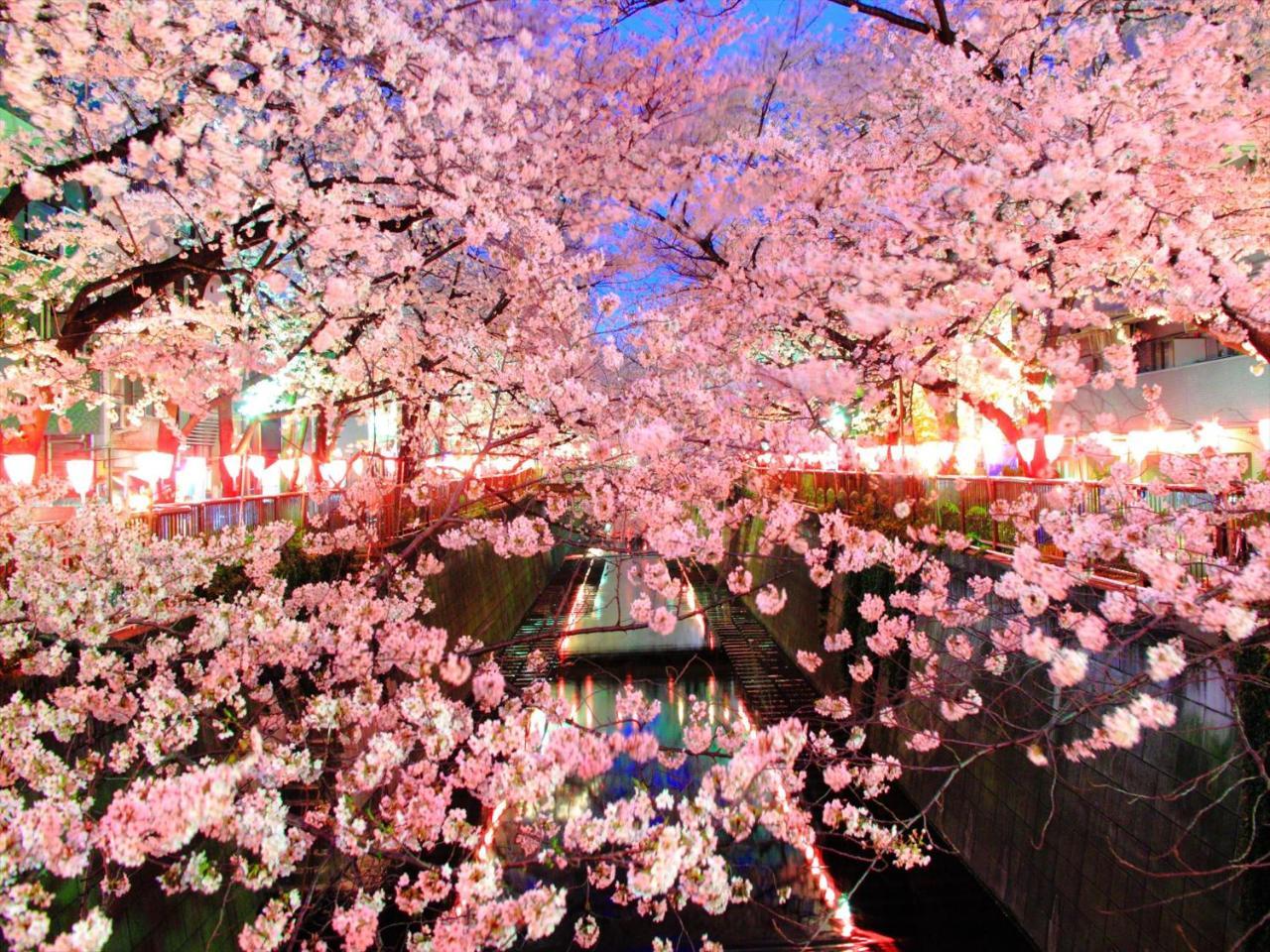 Coto Tokyo Shibuya 4 Apartman Kültér fotó